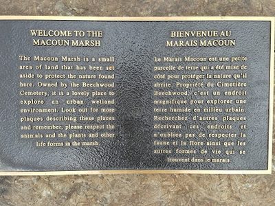 Macoun Marsh
