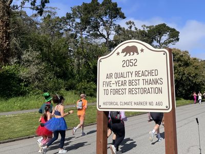 Future Plaque: Air Quality Reached Five-Year Best Thanks To Forest Restoration