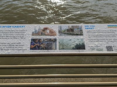 Enhancing River Habitat