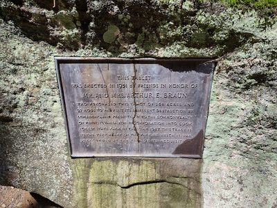 Protected Tract of Cook Forest