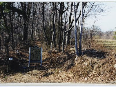 Stonewall Regiment / Stonewall Regiment