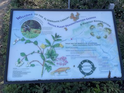 Native Plant Demonstration Garden & Habitat Restoration