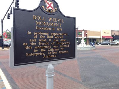 Boll Weevil Monument