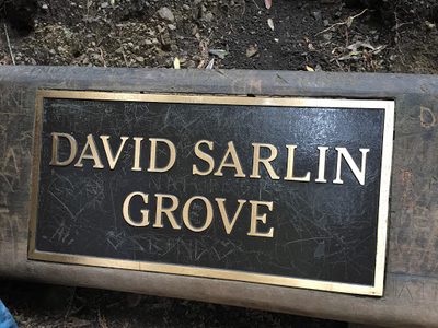 David Sarlin Grove