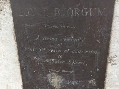 Joyce Bjorgum