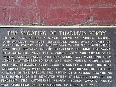 THE  SHOOTING  OF  THADDEUS  PURDY