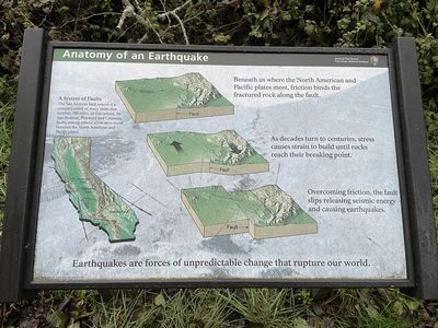Anatomy of an Earthquake