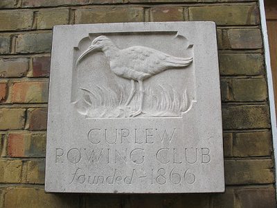 Curlew Rowing Club - emblem