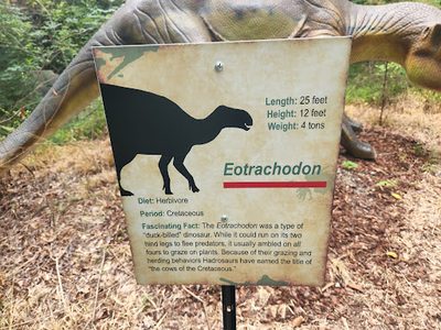 Eotrachodon