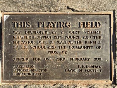 This Playing Field