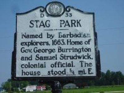 STAG PARK