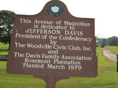 Avenue of Magnolias