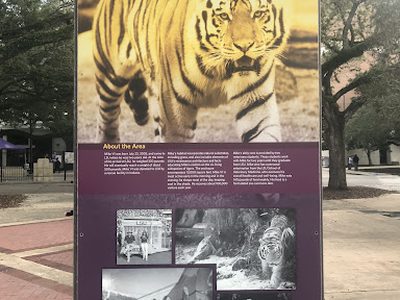 Mike VI and his habitat