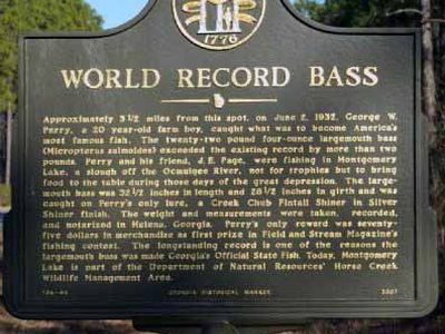 World Record Bass