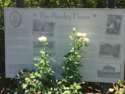 The Ainsley House