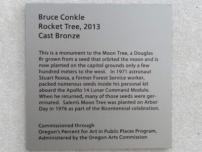 Rocket Tree
