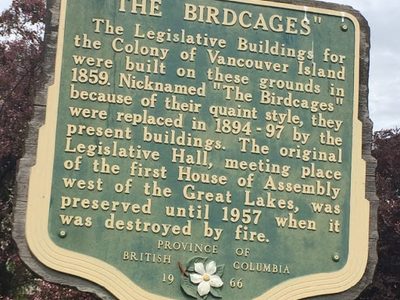 The Birdcages