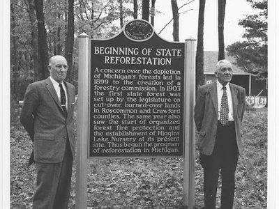 Beginning of State Reforestation