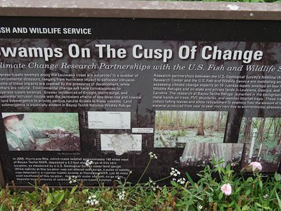 Swamps on the Cusp of Change