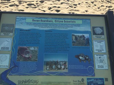 Ocean Guardians, Citizen Scientists