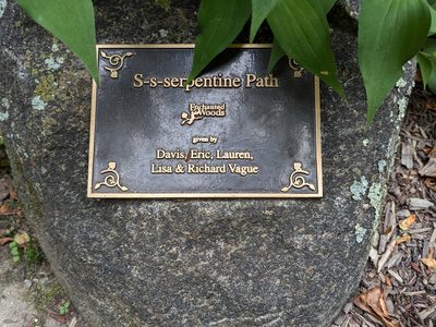 S-s-serpentine Path