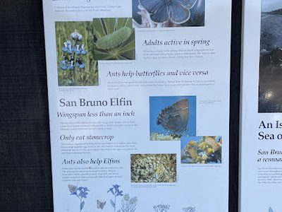 A Place For Endangered Species