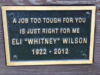 Eli Wilson