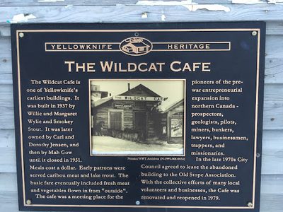 The Wildcat Cafe
