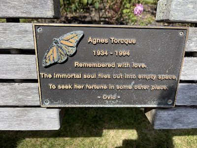 Agnes Torcque