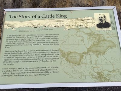 The Story of a Cattle King
