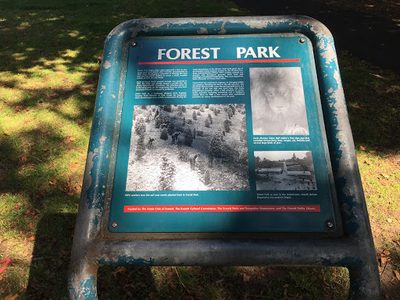 Forest Park