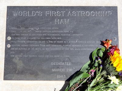World's First Astrochimp HAM