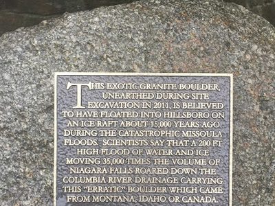 This Exotic Granite Boulder