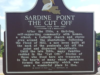 Sardine Point The Cut Off