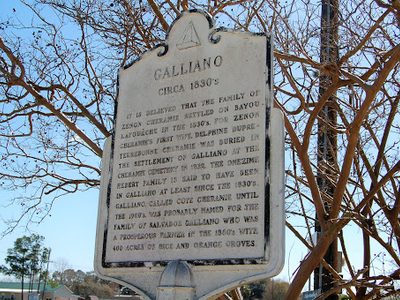 Galliano