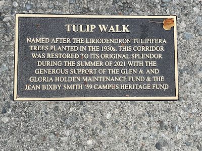 Tulip Walk