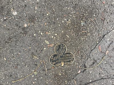 Simpson Bros Three-leaf clover pavement plaque in Cambridge, MA
