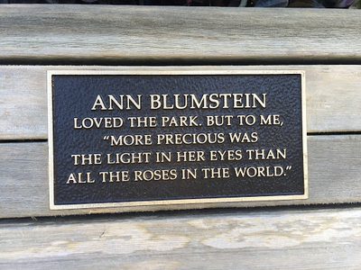 Ann Blumstein