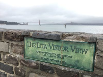 The Lita Vietor View