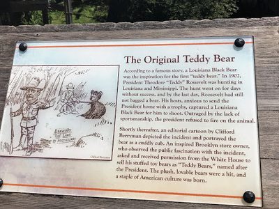 The Original Teddy Bear