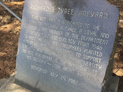 Richard B. Tyree Vineyard