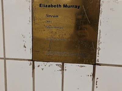Elizabeth Murray - Stream