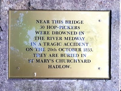 Tragic Accident Hop-Pickers