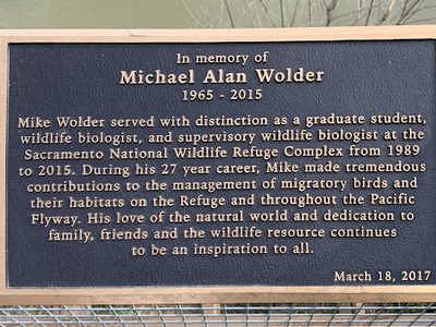 Michael Alan Wolder