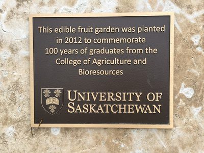 Edible fruit garden