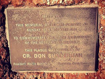 This Memorial Drive