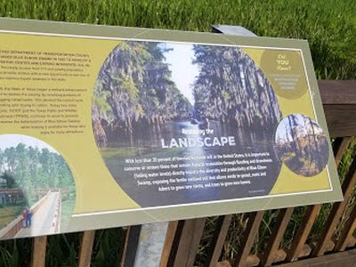 Restoring The Landscape