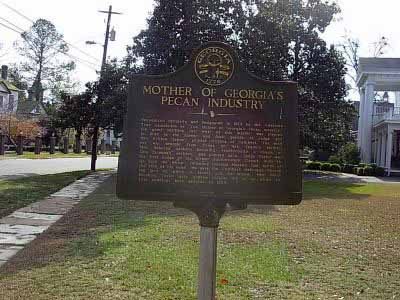 Mother of Georgia's Pecan Industry