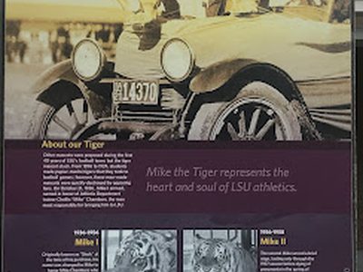 Mike the Tiger - History