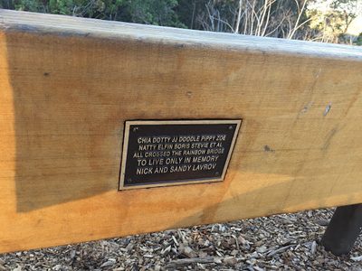 Rainbow Bridge Bench